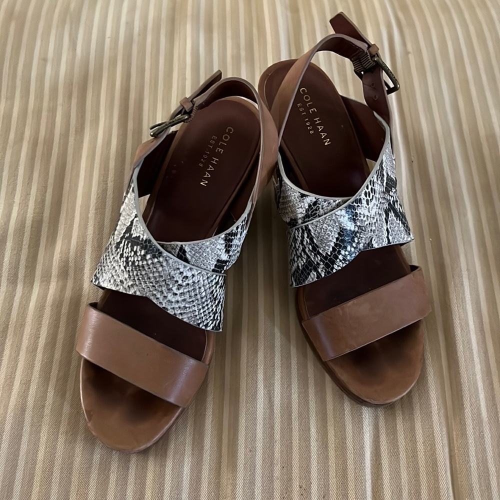 Cole Haan Penelope Strappy Leather Wedge Sandal, Roccia Snake Print